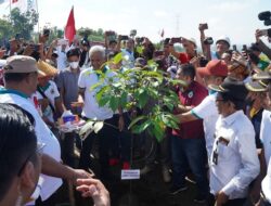 Gubernur Jateng Wajibkan Reklamasi Bekas Area Tambang dan Larang Tambang Illegal di Cilacap