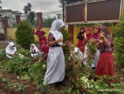 Wujudkan Profil Pelajar Pancasila, Guru SDN Pandansari Latih Muridnya Berkebun