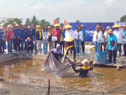 Kominfo Panen Raya Pembudidaya Ikan Nila Go Digital di Baturraden Banyumas