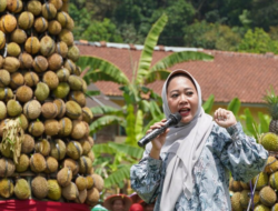 Festival Durian Bumi Soedirman Angkat Potensi Pertanian & Pariwisata