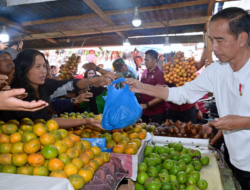 Momen Presiden Jokowi Belanja Buah dan Sayur di Pasar Buah Berastagi