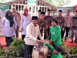 Baznas RI Luncurkan Program Balai Ternak di Desa Babakan Karanglewas Banyumas