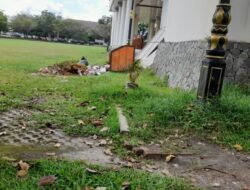 Sungguh Miris…, Sambut Tahun Baru 2025 Kantor Bupati Ogan Ilir Ditumbuhi Semak Belukar dan Sampah Yang Berserakan