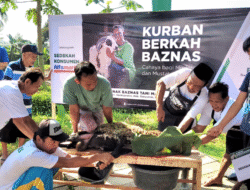 Baznas RI Sembelih 7.000 Hewan Serentak di 10 Provinsi