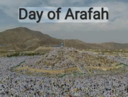 Makna Ibadah di Arafah