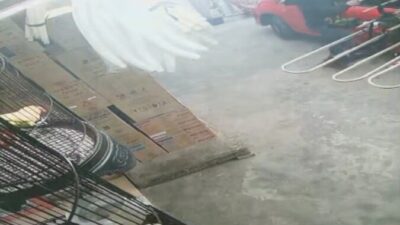 Tas Berisi BPKB dan Uang Tunai Rp5 Juta Digondol Maling di Depan Toko Elektronik Batujajar