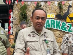 Upaya Maksimal Lembang Park Zoo Cegah Risiko Pasca Kaburnya Macan Tutul