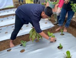 Kolaborasi Adat dan Modernisasi, Saung Tani Kuta Madangan Siap Sejahterakan Tani Indonesia