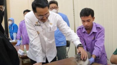 Pentingnya Vaksin Bagi Hewan, World Rabies Day 2025 Jadi Ajang Kepedulian Terhadap Hewan Peliharaan