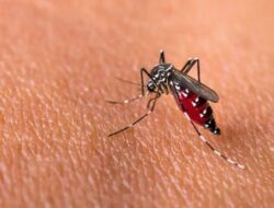 Cuaca Tak Menentu, Dinkes Cimahi Peringatkan Warga Waspadai Lonjakan DBD