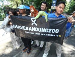711 Satwa Bandung Zoo Terancam Krisis Pakan, Pengelola Bertahan Hidup dari Donasi Publik