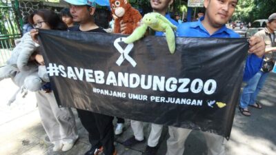 711 Satwa Bandung Zoo Terancam Krisis Pakan, Pengelola Bertahan Hidup dari Donasi Publik