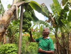 Dari Penolakan Menjadi Kesejahteraan, Reforma Agraria Ubah Nasib Warga Desa Baumata Kupang