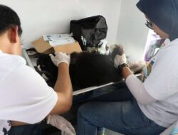Pemkot Bandung Tegaskan Kota Tetap Bebas Rabies, Warga Diminta Tak Terprovokasi Isu Viral