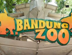 Serikat Pekerja Apresiasi Langkah Tegas Wali Kota untuk Selamatkan Bandung Zoo