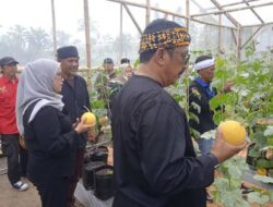 Kampung Melon Sukajaya Jadi Ikon Agrowisata Baru Sukabumi,