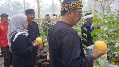 Kampung Melon Sukajaya Jadi Ikon Agrowisata Baru Sukabumi,