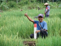 Jaga Batas Tanah Saat Mudik, ATR/BPN Ingatkan Cegah Konflik dan Sengketa