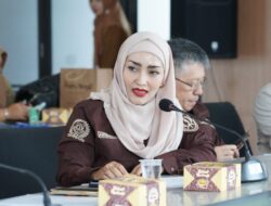 Anita Fajarianti Soroti Penundaan Proyek Jembatan, Ingatkan Kesepakatan APBD 2026