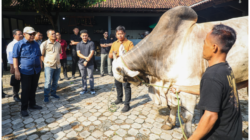 Hasilkan Sapi Premium, Peternakan Sapi di Purworejo Dinilai Bisa Jadi Percontohan Nasional