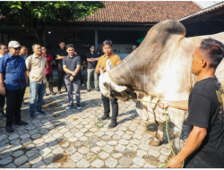Hasilkan Sapi Premium, Peternakan Sapi di Purworejo Dinilai Bisa Jadi Percontohan Nasional