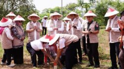 Tanpa Kesepakatan Tetangga, Data Batas Tanah Berisiko Bermasalah: Ini Penjelasan ATR/BPN