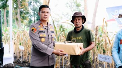 Panen Raya Jagung Serentak, Polres Cimahi Perkuat Sinergi Ketahanan Pangan Nasional
