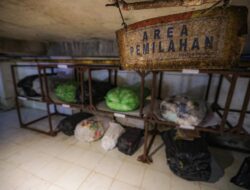 PVJ Bandung Olah 3,5 Ton Sampah per Hari, Andalkan Pemilahan hingga Budidaya Maggot