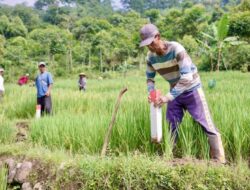 Tanpa Patok Batas, Tanah Berisiko Menjadi Sumber Konflik: Ini Standar Resmi ATR/BPN