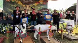 Pangdam III/Siliwangi Dukung Pelestarian Domba Garut, Wali Kota Cimahi Apresiasi Festival Peternak di Gunung Bohong