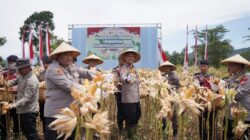 Tanam Jagung, Polres Cimahi Dukung Program Ketahanan Pangan Nasional