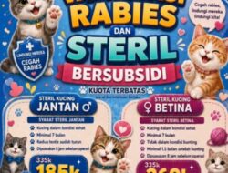 Dinas Perikanan dan Peternakan KBB Gelar Vaksinasi Rabies dan Sterilisasi Kucing Bersubsidi dalam Rangka HUT ke-19 Bandung Barat