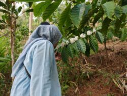 Jamkrindo Kembangkan Potensi Lokal Garut dari Pengelolaan Sampah hingga Hilirisasi Kopi