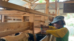 Dari Kandang ke Kemandirian Ekonomi, BAZNAS Dampingi Peternak Jatimekar Tingkatkan Produktivitas
