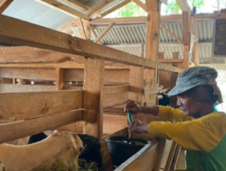 Dari Kandang ke Kemandirian Ekonomi, BAZNAS Dampingi Peternak Jatimekar Tingkatkan Produktivitas
