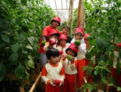 10 Tahun Pizza Maker Junior, 5 Juta Anak Belajar Dari Kebun Paprika Pasirlangu Hingga Piring Piza