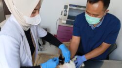 Rabies Masih Mengintai KBB, Kasus Gigitan HPR Masih Dilaporkan
