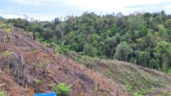 UU Reforma Agraria Buka Jalan Pemulihan Hak Masyarakat Atas Tanah yang Tercatat Aset Negara
