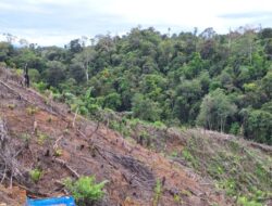 UU Reforma Agraria Buka Jalan Pemulihan Hak Masyarakat Atas Tanah yang Tercatat Aset Negara